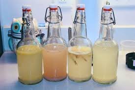Water Kefir Grains