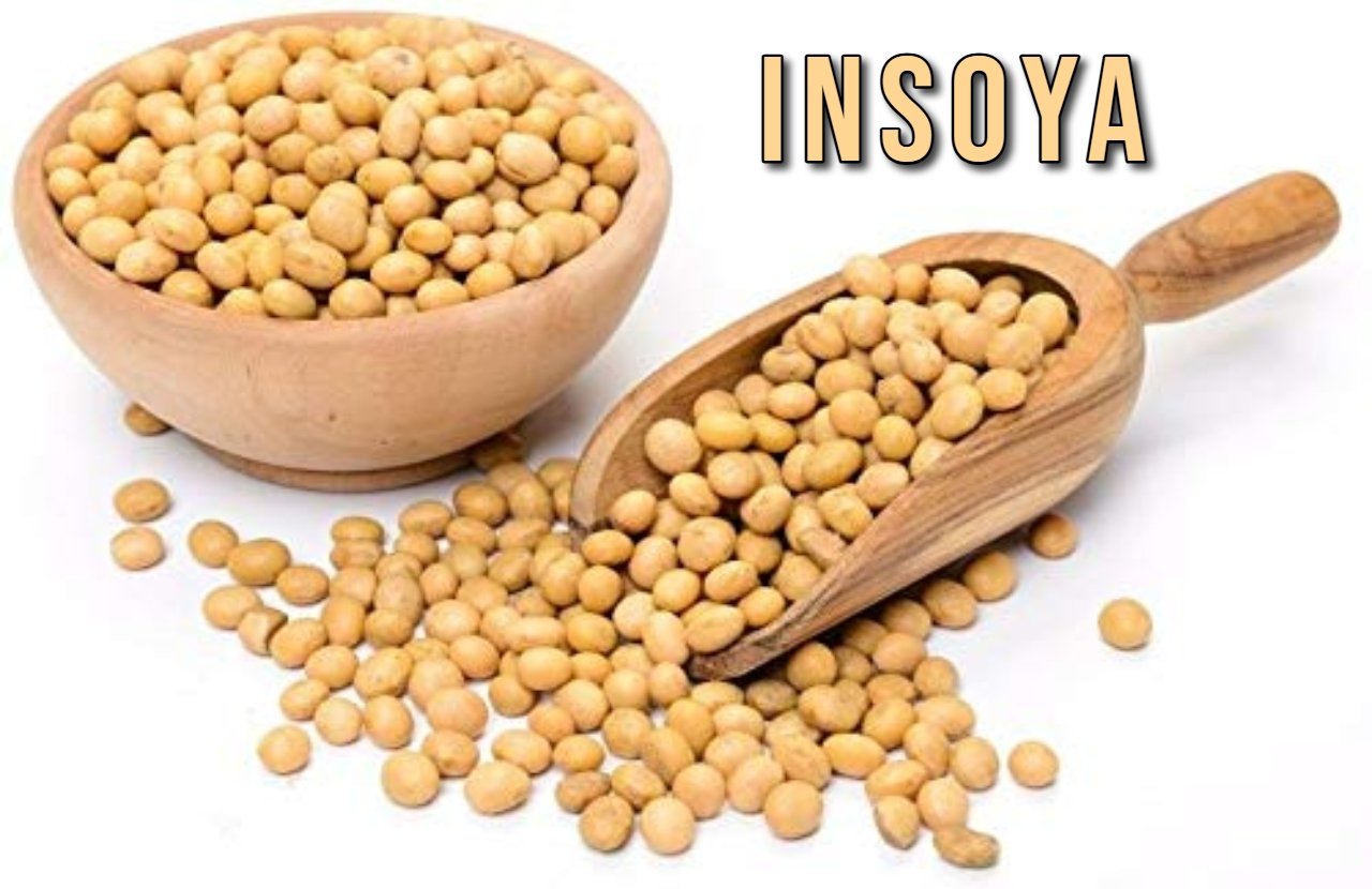 Insoya